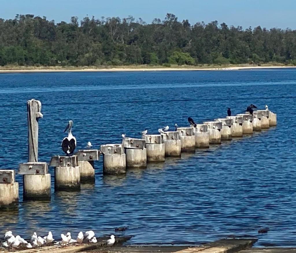 Sandbar Motel Lakes Entrance Luaran gambar